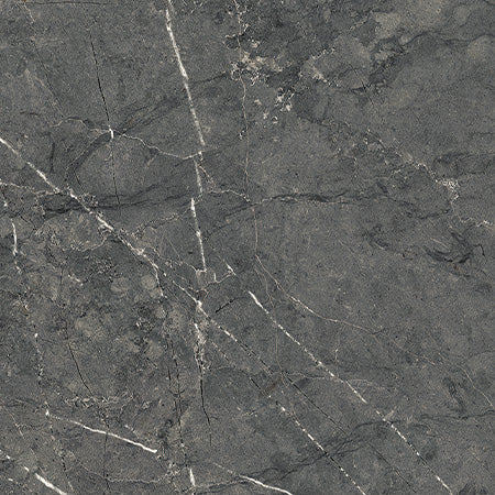 Musterfliese La Belleza Terra Black