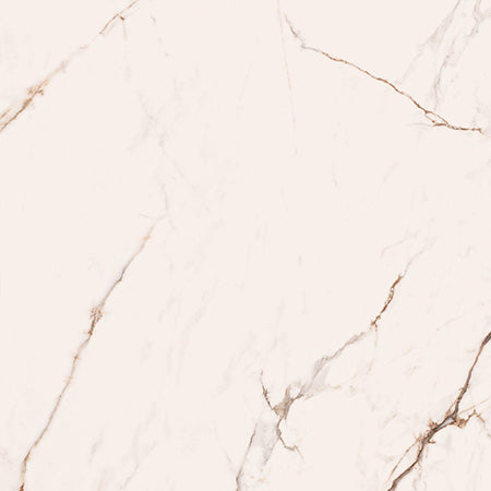 Cerdomus 120x120 cm Omnia Macchia Vecchia Bodenfliese/Wandfliese