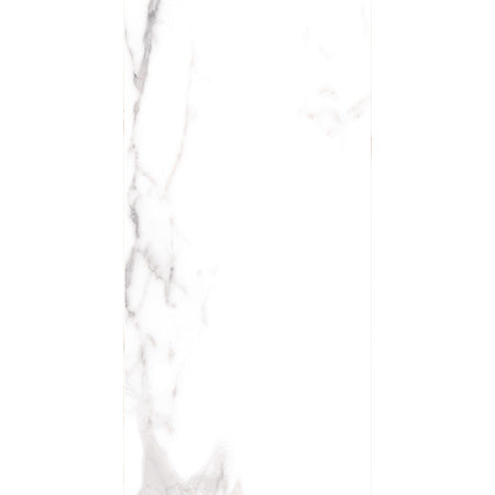 Cerdomus 30x60 cm Omnia Statuario Bodenfliese/Wandfliese