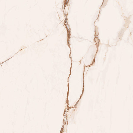 Cerdomus 120x120 cm Omnia Macchia Vecchia Bodenfliese/Wandfliese