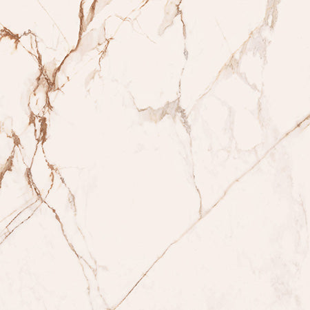 Cerdomus 120x120 cm Omnia Macchia Vecchia Bodenfliese/Wandfliese