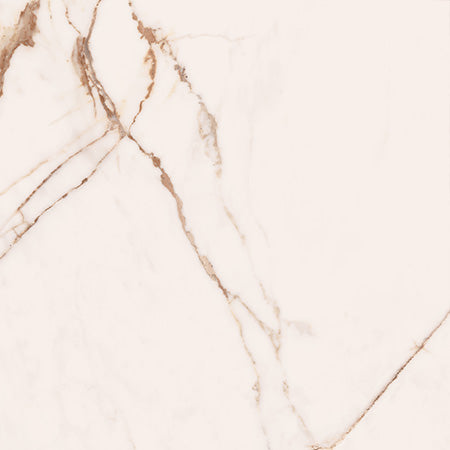 Cerdomus 60x60 cm Omnia Macchia Vecchia Bodenfliese/Wandfliese