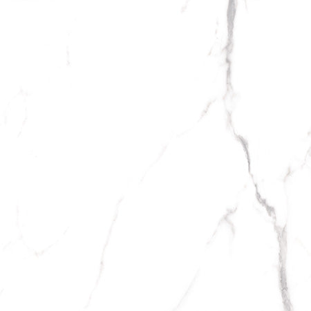 Cerdomus 60x60 cm Omnia Statuario Bodenfliese/Wandfliese