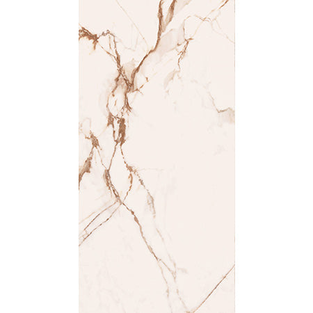 Cerdomus 60x120 cm Omnia Macchia Vecchia Bodenfliese/Wandfliese