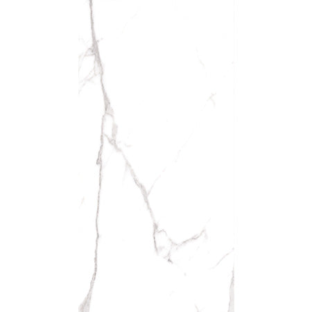 Cerdomus 60x120 cm Omnia Statuario Bodenfliese/Wandfliese